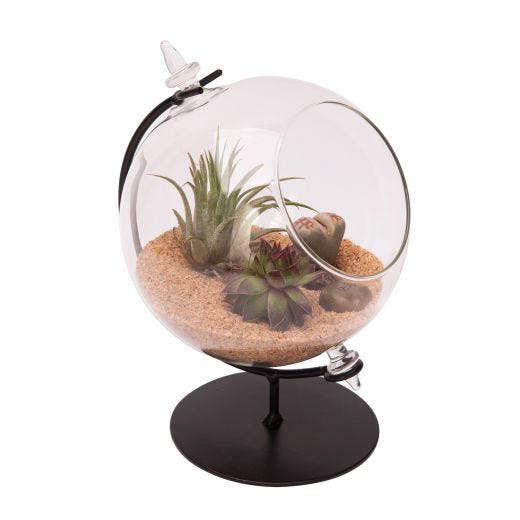 Desktop Glass Terrarium Planter with Metal Stand