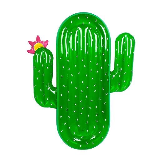 Cactus Shaped Pool Floatation