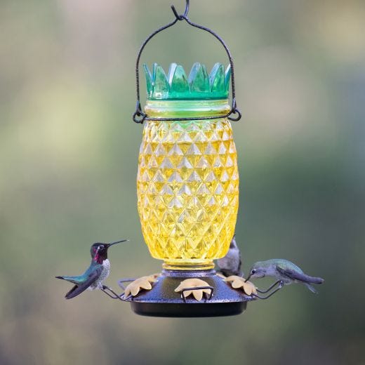 Pineapple Top-Fill Hummingbird Feeder