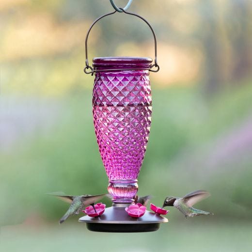 Mangeoire à colibri diamant bourgogne