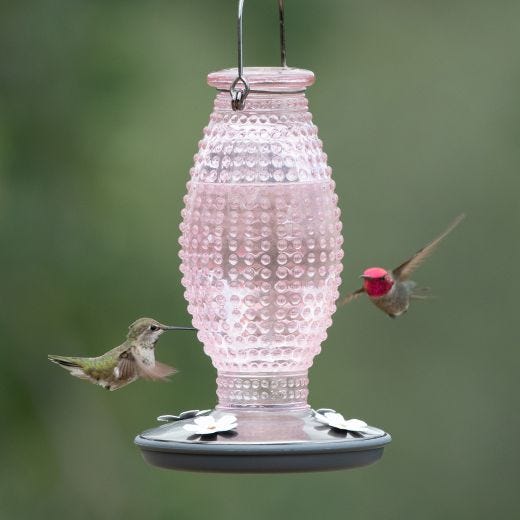 Vintage Cranberry Hobnail Hummingbird Feeder