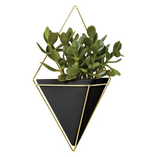 Trigg Large Black And Brass Wall Vessel