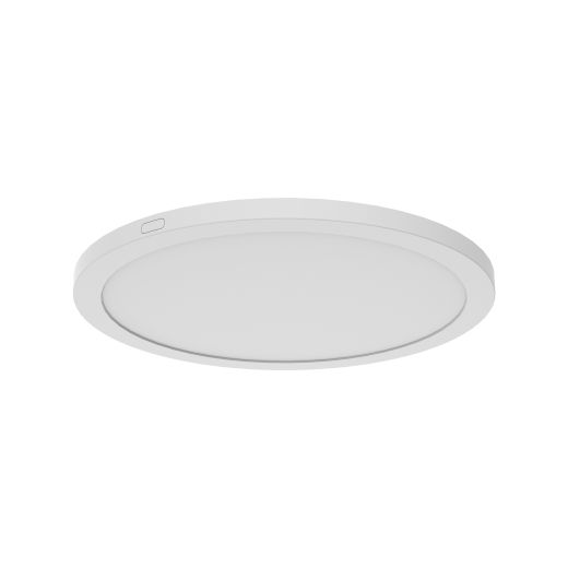 Tempest 12" Flush Mount