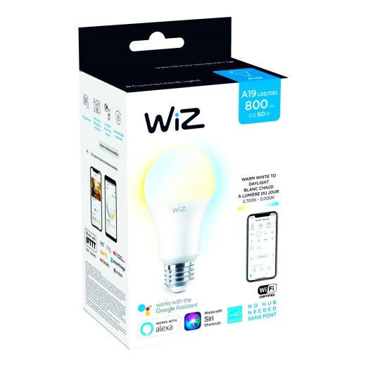 60W A19 Frosted WiFi Tunable White Smart LED Light Bulb
