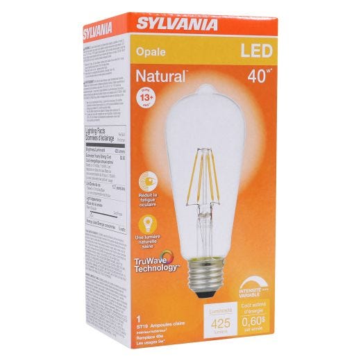 5 Watt Dimmable Medium Base LED ST19 Bulb-1/Pack