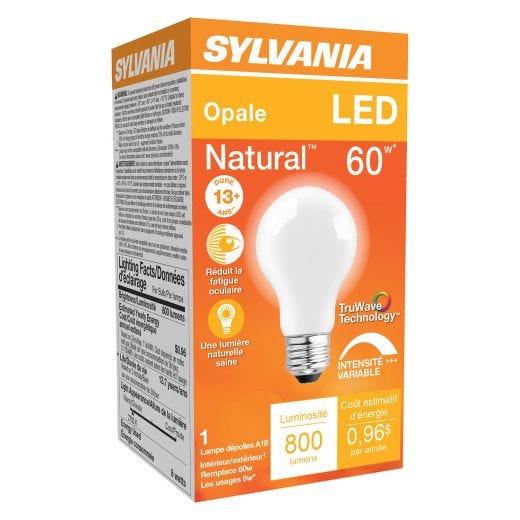 8 Watt Dimmable Medium Base LED A19 Bulb-1/Pack