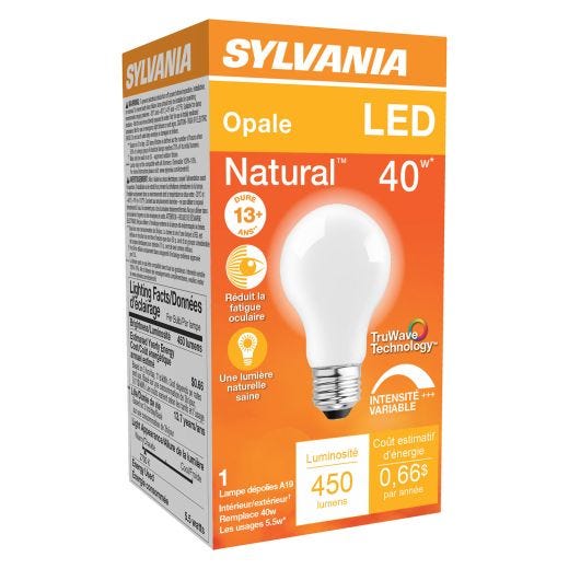 5.5 Watt Dimmable Medium Base LED A19 Bulb-1/Pack