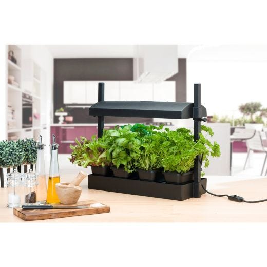 Micro Black Grow Light Garden Halifax Seed