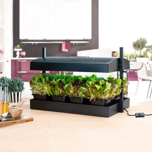 Sunblaster Grow Light Garden Hallifax Seed