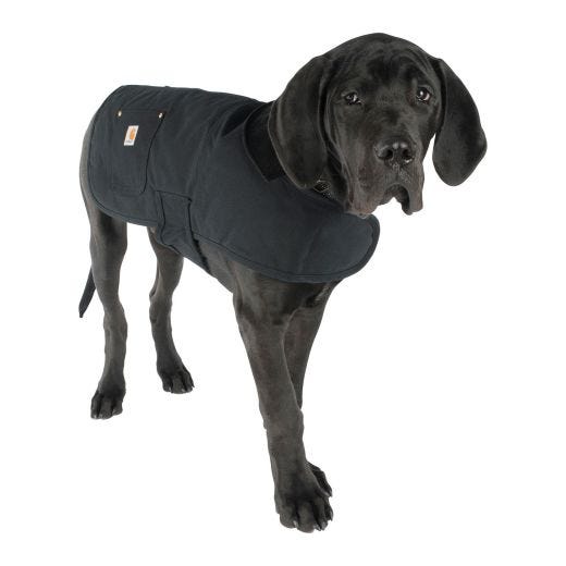 Petit manteau utilitaire pour chien
