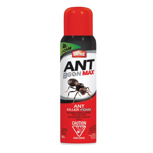 Ortho Ant B Gon Max Ant Killer Foam-400g