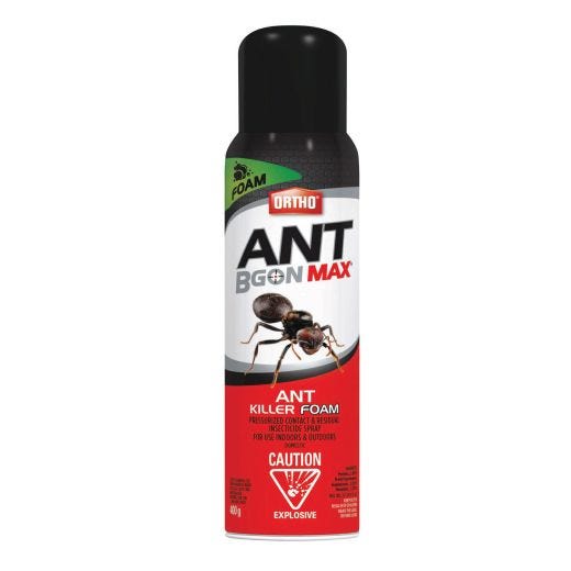 Ortho Ant B Gon Max Ant Killer Foam-400g