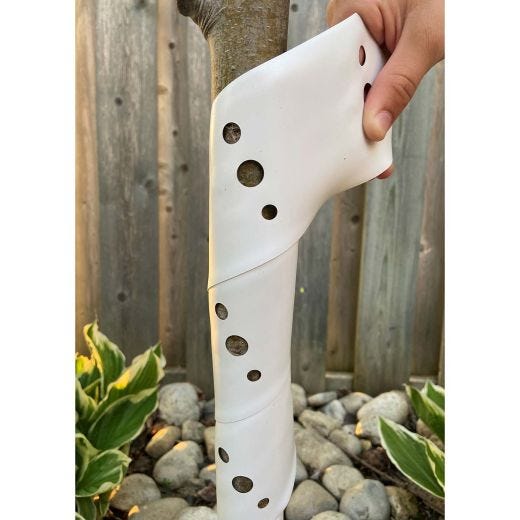 30" Perforated Design Protective Tree Spirals-4/Pack