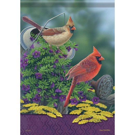 Backyard Color Durasoft Large Flag