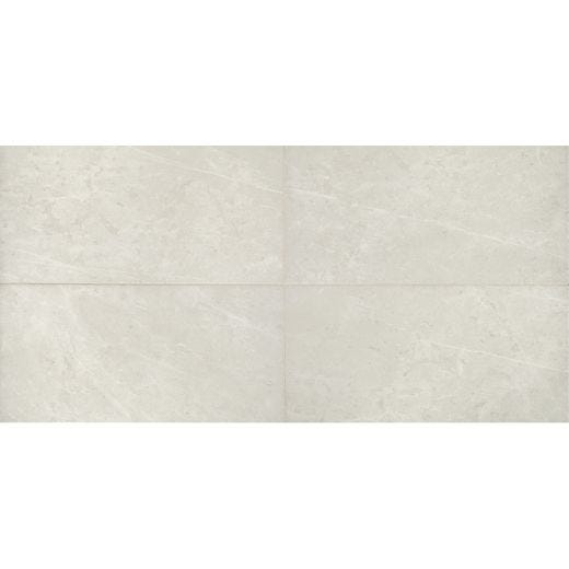Carreaux de céramique vitrifiée Resilience 12 x 24 po 17,49