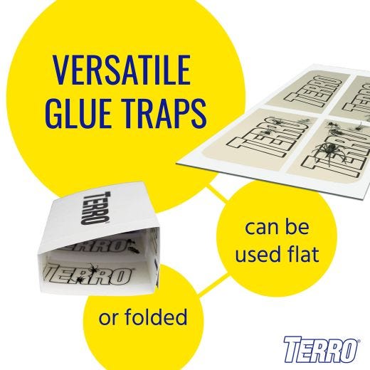 Terro Spider And Insect Traps-4/Pack