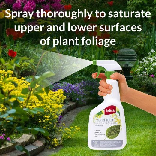 Safer's Defender Fungicide