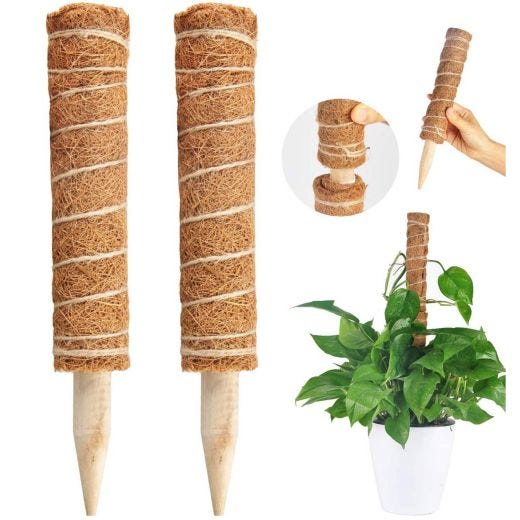 Pack of Two 40cm Stackable Coconut Stake for Climbing Plants