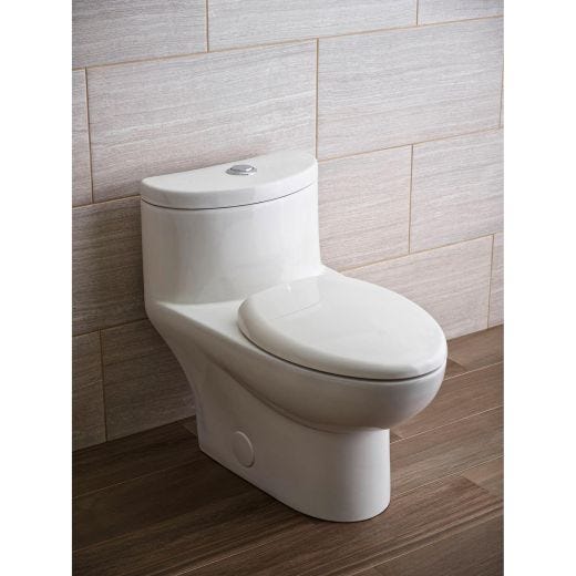 Tofino Dual Flush 1-Piece Concealed Toilet