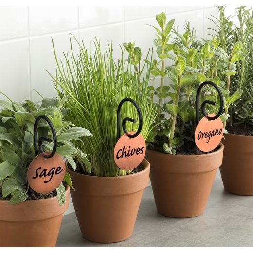 Copper Plant Tags
