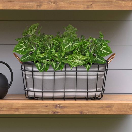 Modern Farmhouse Oval Basket Planter With Liner