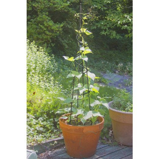 48" Spiral Obelisk
