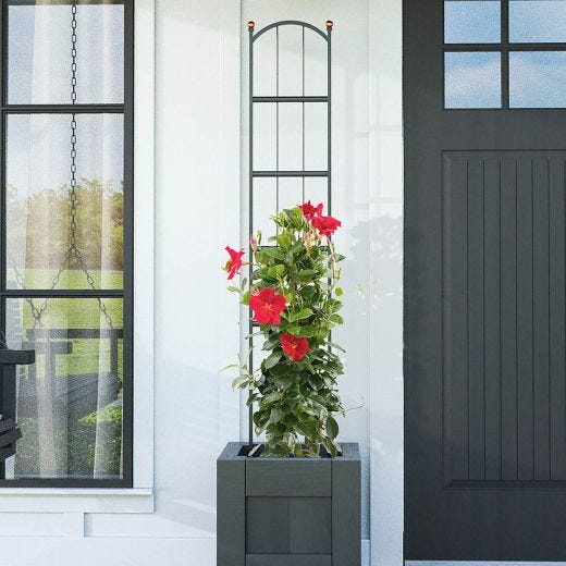 60" Modern Farmhouse Pot Trellis
