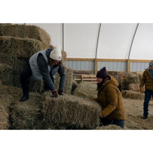 Bonnet à revers en tricot, mûre sauvage