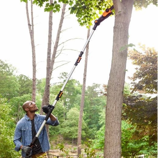WORX 20V PowerShare 8" Cordless Pole Saw