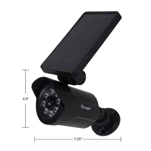 200 Lumen Solar Motion Security Light