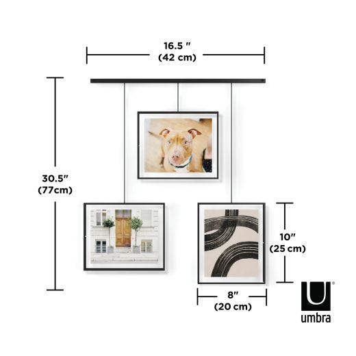 Exhibit Picture Frame 8 x 10" Set of 3