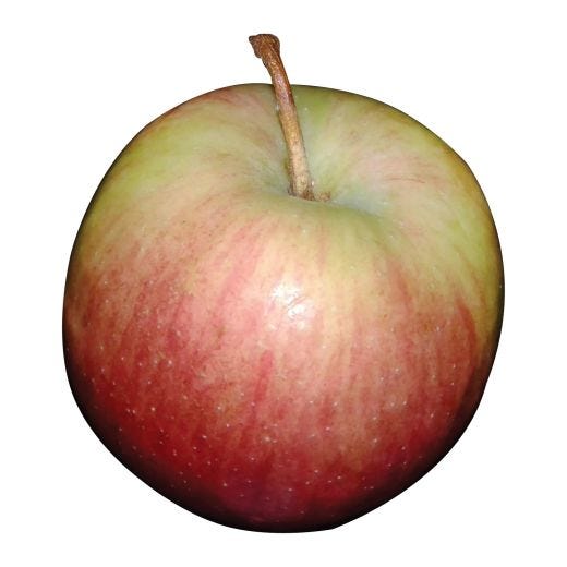 Empire Apple 7G