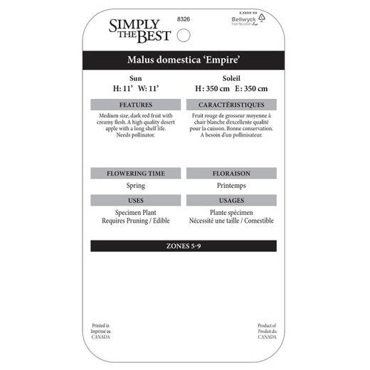 Empire Apple 7G