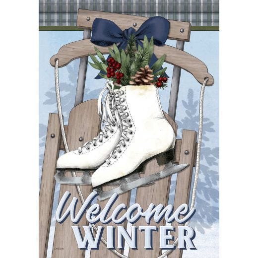 Skates For Winter Large Flag
