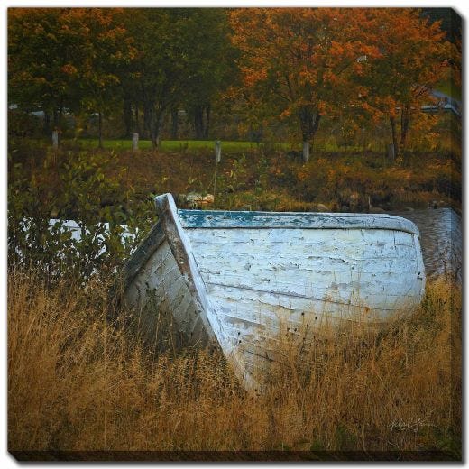 24" x 24" White Boat Blue Trim Fall Trees By Michael Garnier