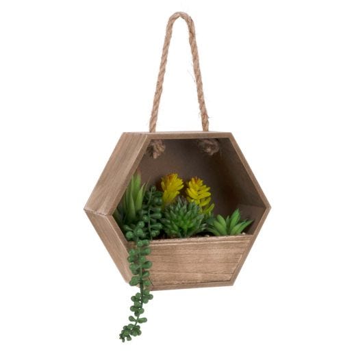8" x 3" x 7" Succulents Wall Plaque