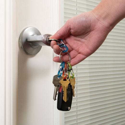 KeyRing Locker S-Biner Plastic