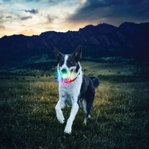 GlowStreak LED Ball Disc-O