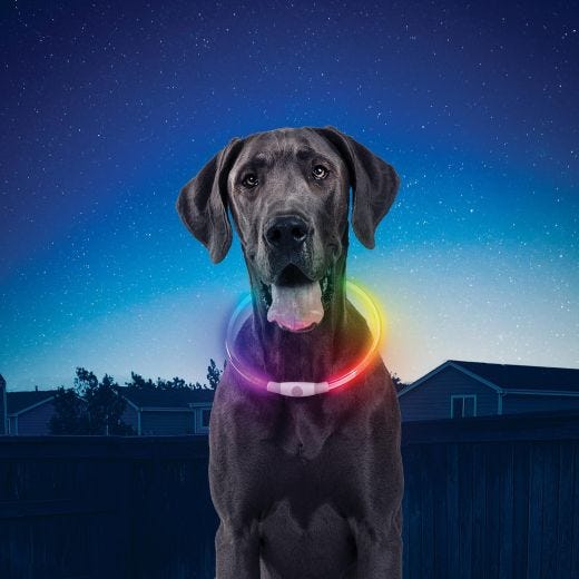 NiteHowl Rechargeable LED Safety Necklace Disc-O Select