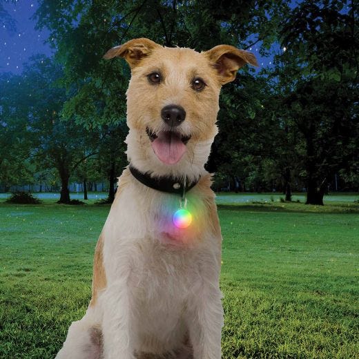 Spotlit Rechargeable Collar Light Disc-O Tech