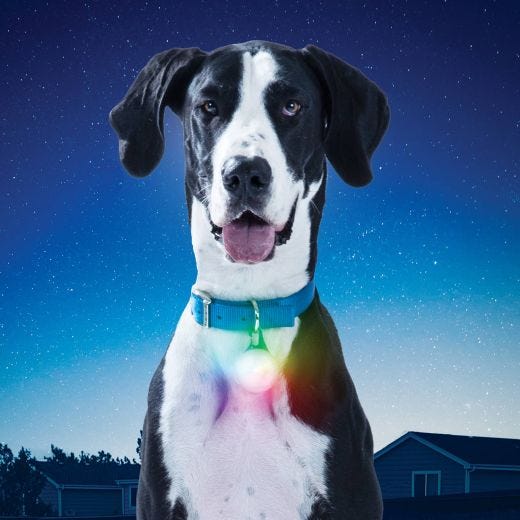 Spotlit Rechargeable Collar Light Disc-O Tech