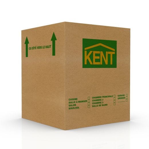 Large Moving Box