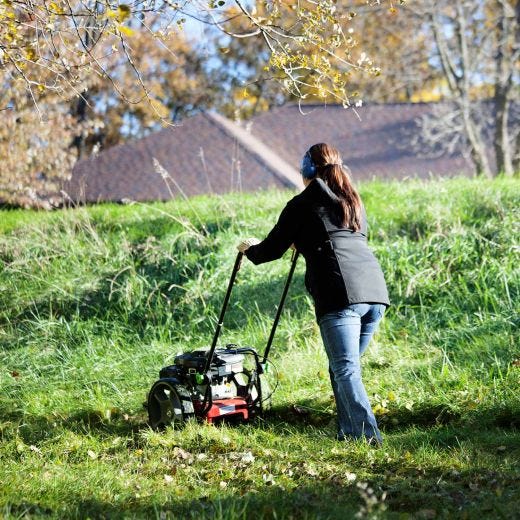 Earthquake Walk Behind String Mower With 150cc Viper Engine