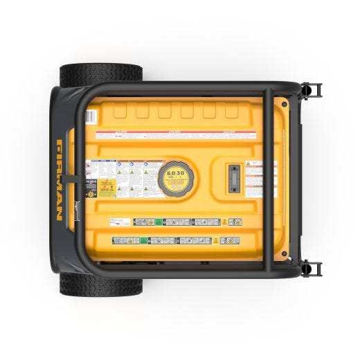 Dual Fuel Portable Generator 10000W Electric Start 120/240V