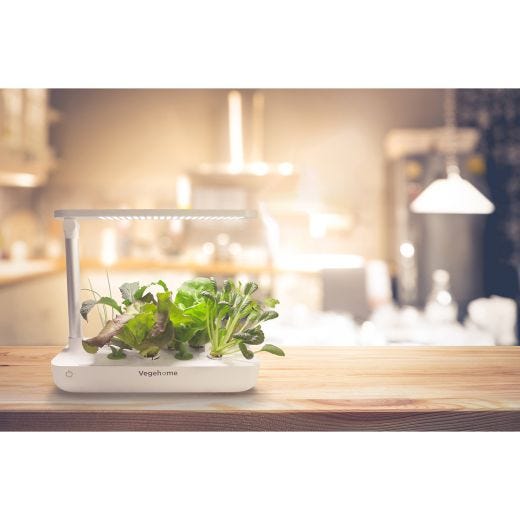 VegeHome Indoor Garden