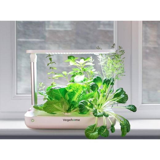 VegeHome Indoor Garden