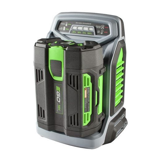 Ego 550W Charger