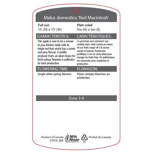 Red Mcintosh Apple 7G