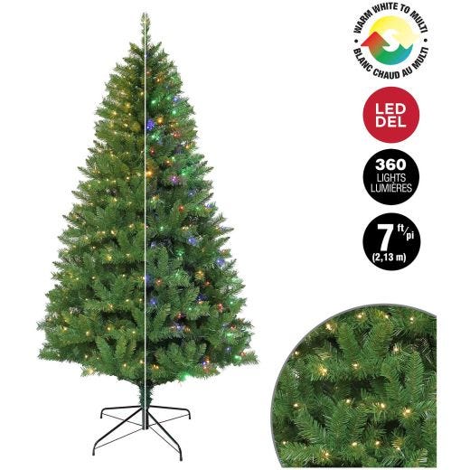 7' Noble Pine With 350 Dual Colour LED Lights