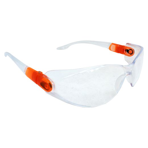 Clear Safety Glasses Interchanging Arm/Band